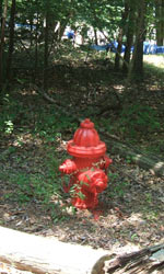 Eno 2007 Forest Fire Hydrant