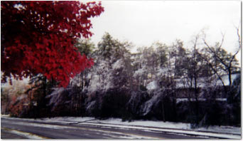 Ice Storm