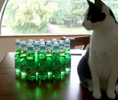 Kiwi Juice and Loki