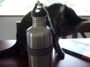 Thor seduces the Klean Kanteen