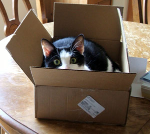 Loki hiding
