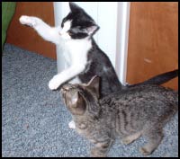 Loki and Thor