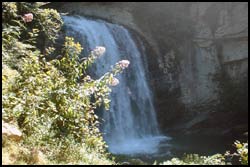 Looking Glass Falls North Carolina