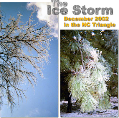 The Ice Storm