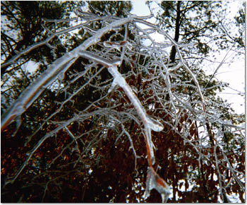 The Ice Storm Chapel Hill NC