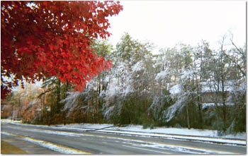 The Ice Storm Chapel Hill NC